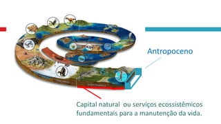 Capital natural ou serviços ecossistêmicos
fundamentais para a manutenção da vida.
Antropoceno
 