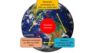 Mudança
climática
Demanda
aumentada em
50% em 2030 (IEA)
Demanda
aumentada em 30%
em 2030 (IFPRI)
Demanda aumentada
em 50% em 2030
(FAO)
ENERGIA
AGUAALIMENTO
 