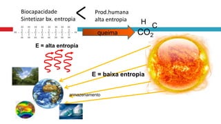 E = baixa entropia
armazenamento
E = alta entropia
queima CO2
Biocapacidade
Sintetizar bx. entropia
Prod.humana
alta entropia H
C
 
