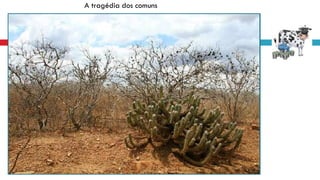 A tragédia dos comuns
 