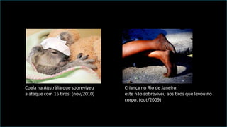 Coala na Austrália que sobreviveu
a ataque com 15 tiros. (nov/2010)
Criança no Rio de Janeiro:
este não sobreviveu aos tiros que levou no
corpo. (out/2009)
 