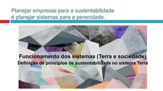 Funcionamento dos sistemas (Terra e sociedade)
Definição de princípios de sustentabilidade no sistema Terra
Planejar empresas para a sustentabilidade
é planejar sistemas para a perenidade.
 