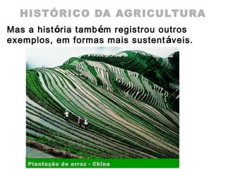 HISTÓRICO DA AGRICULTURA
Mas a história também registrou outros
exemplos, em formas mais sustentáveis.
Plantação de arroz - China
 