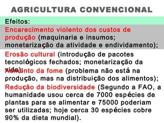 AGRICULTURA CONVENCIONAL
Efeitos:
Encarecimento violento dos custos de
produção (maquinaria e insumos;
monetarização da atividade e endividamento);
Erosão cultural (introdução de pacotes
tecnológicos fechados; monetarização da
vida);Aumento da fome (problema não está na
produção, mas na distribuição dos alimentos);
Redução da biodiversidade (Segundo a FAO, a
humanidade usou cerca de 7000 espécies de
plantas para se alimentar e 75000 poderiam
ser utilizadas; hoje cerca 30 espécies cobre
90% da dieta mundial).
 