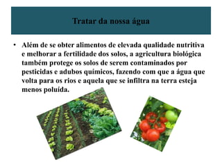 Contaminação da águaLixo Orgânico                               cascas de frutas, legumes, ovos,  verduras, restos de jardim, borra de café; papel higiénico. Estes materiais formam 60% do lixo.Lixo IndustrialOs resíduos industriais incluem lixo proveniente de instalações industriais, como, por exemplo, pneus, sucata, óleo. Lixo proveniente dos hospitais e das instalações biológicas. 