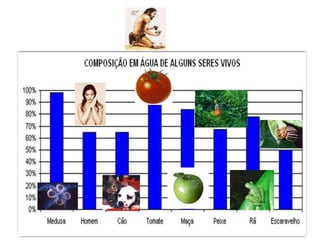 Está distribuída, aproximadamente, da seguinte forma: 97,6% de água salgada e 2,4% de água doce. 