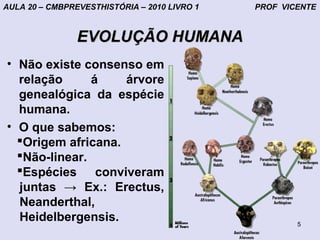 AULA 20 – CMBPREVESTHISTÓRIA – 2010 LIVRO 1   PROF VICENTE



                EVOLUÇÃO HUMANA
• Não existe consenso em
  relação      á    árvore
  genealógica da espécie
  humana.
• O que sabemos:
  Origem africana.
  Não-linear.
  Espécies conviveram
  juntas → Ex.: Erectus,
  Neanderthal,
  Heidelbergensis.                                    5
 