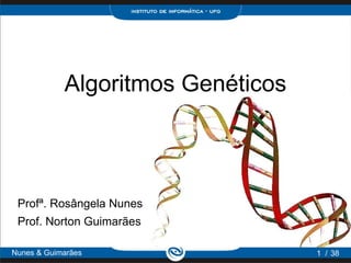 Algoritmos Genéticos



 Profª. Rosângela Nunes
 Prof. Norton Guimarães

Nunes & Guimarães                  1 / 38
 