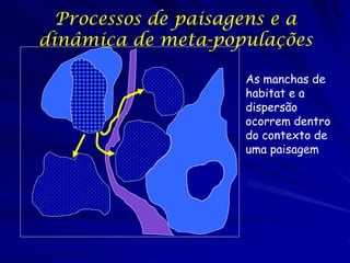 Processos de paisagens e a
dinâmica de meta-populações

                     As manchas de
                     habitat e a
                     dispersão
                     ocorrem dentro
                     do contexto de
                     uma paisagem
 