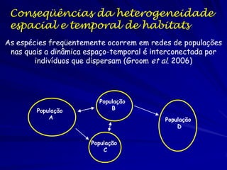 Conseqüências da heterogeneidade
 espacial e temporal de habitats
As espécies freqüentemente ocorrem em redes de populações
 nas quais a dinâmica espaço-temporal é interconectada por
        indivíduos que dispersam (Groom et al. 2006)




                         População
        População            B
            A                             População
                                              D

                       População
                           C
 