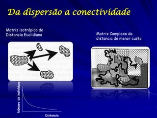 Da dispersão a conectividade

Matriz isotrópico de
Distancia Euclidiana                    Matriz Complexo da
                                        distancia de menor custo
     Número de indivíduos




                            Distancia
 
