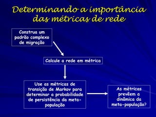 Determinando a importância
    das métricas de rede
  Construa um
padrão complexo
  de migração



             Calcule a rede em métrica




         Use as métricas de
      transição de Markov para             As métricas
     determinar a probabilidade             prevêem a
      de persistência da meta-             dinâmica da
              população                  meta-população?
 