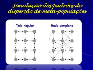 Simulação dos padrões de
dispersão de meta-populações

   Teia regular   Rede complexa
 