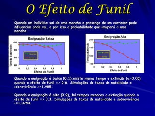 O Efeito de Funil
                      Quando um indivíduo sai de uma mancha a presença de um corredor pode
                      influenciar onde vai, e por isso a probabilidade que imigrará a uma
                      mancha.
                                                                                                    Emigração Alta
                                 Emigração Baixa                                       200
                     1000




                                                                    Tempo a Extinção
Time to Extinction




                                                                                       150
                      950
                                                                                                 No corridor
                                      No corridor
                                                                                       100       Corridor
                      900             Corridor



                                                                                        50
                      850
                                                                                             0   0,2           0,4   0,6     0,8   1
                            0   0,2          0,4    0,6   0,8   1
                                                                                                               Efeito de Funil
                                             Efeito de Funil

                      Quando a emigração é baixa (0.1),existe menos tempo a extinção (=0.05)
                      quando o efeito de funil => 0,6. Simulações de taxas de natalidade e
                      sobrevivência =1.085.

                      Quando a emigração é alta (0.9), há tempos menores a extinção quando o
                      efeito de funil => 0,3. Simulações de taxas de natalidade e sobrevivência
                      =1.0754.
 