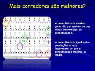 Mais corredores são melhores?


                                                                                    A conectividade máxima
                                                                                    pode não ser melhor do que
                                                                                    níveis intermédios de
                                                                                    conectividade.


                                                                                    A conectividade igual entre
                                                                                    populações é mais
                                                                                    importante do que a
                                                                                    conectividade máxima ou
                                                                                    média.

Anderson, G.S. and Danielson, B.J. 1997. The effects of landscape composition and physiognomy on metapopulation size: the role of corridors.
Landscape Ecology 12: 261-271
 