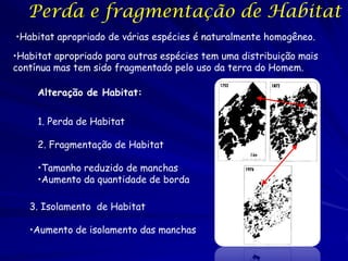 Perda e fragmentação de Habitat
•Habitat apropriado de várias espécies é naturalmente homogêneo.
•Habitat apropriado para outras espécies tem uma distribuição mais
contínua mas tem sido fragmentado pelo uso da terra do Homem.

     Alteração de Habitat:

     1. Perda de Habitat

     2. Fragmentação de Habitat

     •Tamanho reduzido de manchas
     •Aumento da quantidade de borda

   3. Isolamento de Habitat

   •Aumento de isolamento das manchas
 
