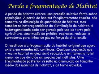 Perda e fragmentação de Habitat
A perda de habitat exerce uma pressão seletiva forte sobre
populações. A perda de habitat freqüentemente resulta não
somente na diminuição da quantidade de habitat, mas
também na heterogeneidade da distribuição de habitat. A
heterogeneidade pode ser gerada pelo uso da terra pela
agricultura, construção de prédios, represas, rodavas, e
corredores para linhas de gás ou força de alta tensão.

O resultado é a fragmentação do habitat original que agora
existe em manchas não continuas. Qualquer população que
viveu no habitat original será reduzida a um tamanho total
menor do que dividida em populações múltiplas. Uma
fragmentação posterior resulta na diminuição do tamanho
médio das manchas de habitat, e os torna isoladas.
 