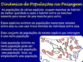 Dinâmica de Populações na Paisagem
 As populações de várias espécies ocupam manchas de habitat
de melhor qualidade e usam o habitat entre as manchas
somente para mover de uma mancha para outra.

Essas espécies existem em populações numerosas isoladas
entre elas ou com uma troca limitada de indivíduos entre elas.

Esse conjunto de populações da mesma espécie que interagem
é uma meta-população.

Cada população distinta na
meta-população pode ser
chamada uma sub-população,
 uma população local, ou
simplesmente uma população.
 