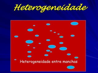 Heterogeneidade




 Heterogeneidade entre manchas
 