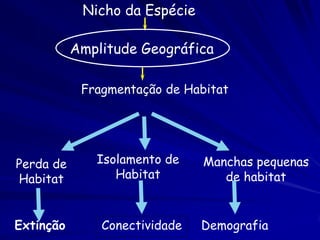 Nicho da Espécie

           Amplitude Geográfica

            Fragmentação de Habitat




Perda de      Isolamento de    Manchas pequenas
Habitat          Habitat          de habitat


Extinção       Conectividade   Demografia
 