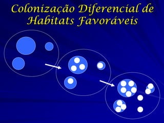 Colonização Diferencial de
   Habitats Favoráveis
 