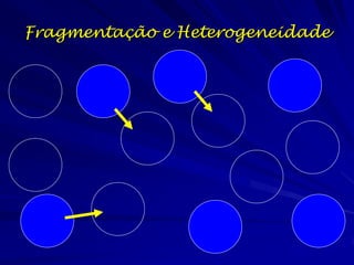 Fragmentação e Heterogeneidade
 