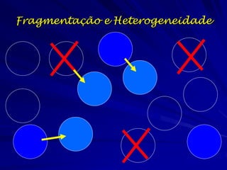 Fragmentação e Heterogeneidade
 