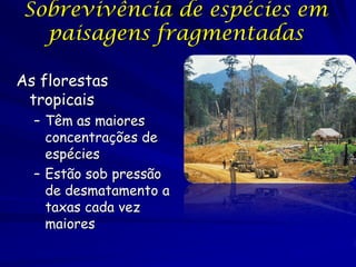Sobrevivência de espécies em
  paisagens fragmentadas

As florestas
 tropicais
  – Têm as maiores
    concentrações de
    espécies
  – Estão sob pressão
    de desmatamento a
    taxas cada vez
    maiores
 