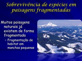 Sobrevivência de espécies em
    paisagens fragmentadas

Muitos paisagens
 naturais já
 existem de forma
 fragmentada
  – Fragmentação de
    habitat em
    manchas pequenas
 