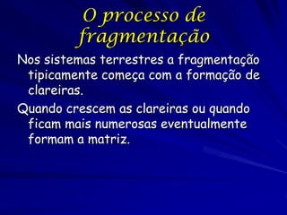 O processo de
         fragmentação
Nos sistemas terrestres a fragmentação
 tipicamente começa com a formação de
 clareiras.
Quando crescem as clareiras ou quando
 ficam mais numerosas eventualmente
 formam a matriz.
 