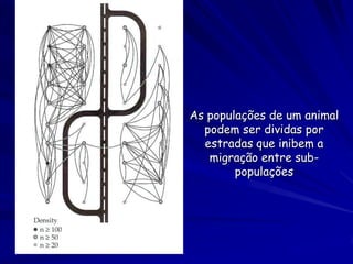 As populações de um animal
  podem ser dividas por
  estradas que inibem a
   migração entre sub-
        populações
 