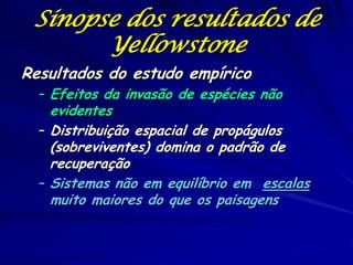 Sinopse dos resultados de
       Yellowstone
Resultados do estudo empírico
  – Efeitos da invasão de espécies não
    evidentes
  – Distribuição espacial de propágulos
    (sobreviventes) domina o padrão de
    recuperação
  – Sistemas não em equilíbrio em escalas
    muito maiores do que os paisagens
 
