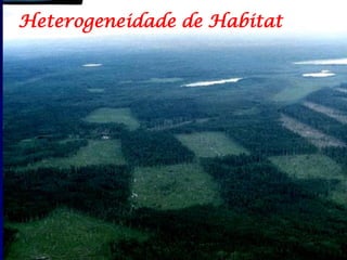Heterogeneidade de Habitat
 