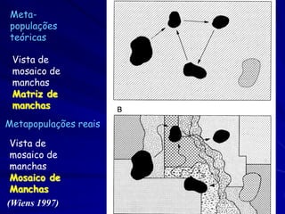 Meta-
 populações
 teóricas

 Vista de
 mosaico de
 manchas
 Matriz de
 manchas
Metapopulações reais

 Vista de
 mosaico de
 manchas
 Mosaico de
 Manchas
(Wiens 1997)
 