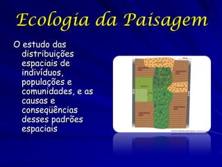 Ecologia da Paisagem
O estudo das
  distribuições
  espaciais de
  indivíduos,
  populações e
  comunidades, e as
  causas e
  conseqüências
  desses padrões
  espaciais
 