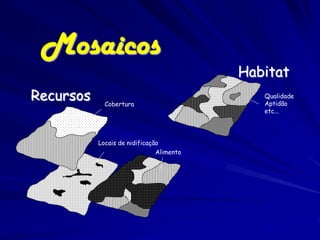 Mosaicos
                                          Habitat
Recursos     Cobertura
                                             Qualidade
                                             Aptidão
                                             etc...




           Locais de nidificação
                               Alimento
 