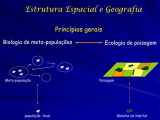 Estrutura Espacial e Geografia

                            Princípios gerais

Biologia de meta-populações                     Ecologia de paisagem




Meta-população                              Paisagem




          população local                              Mancha de habitat
 