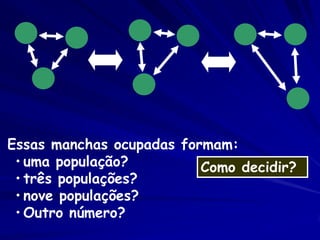 Essas manchas ocupadas formam:
 • uma população?         Como decidir?
 • três populações?
 • nove populações?
 • Outro número?
 