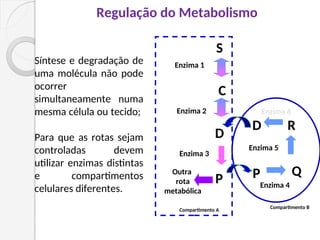 S
C
D
R
Enzima 3
Enzima 2
Enzima 1
Enzima 6
Enzima 5
D
Q
Enzima 4
Síntese e degradação de
uma molécula não pode
ocorrer
simultaneamente numa
mesma célula ou tecido;
Para que as rotas sejam
controladas devem
utilizar enzimas distintas
e compartimentos
celulares diferentes.
Outra
rota
metabólica
Compartimento A
Compartimento B
P
P
Regulação do Metabolismo
 