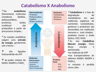 Catabolismo X Anabolismo
Catabolismo é a fase de
degradação do
metabolismo em que
moléculas orgânicas de
nutrientes (carboidratos,
gorduras e proteínas) são
convertidos em moléculas
menores e mais simples:
produtos (como o ácido
láctico, CO2, NH3).
As vias Catabólicas
liberam energia. Parte
dessa energia é
aprisionada:
•na molécula de ATP
•nos transportadores de
elétrons (NADH, NADPH e
FADH2),
•o restante é perdida
como calor.
No anabolismo
(biossíntese) moléculas
complexas (lipídios,
polissacarídeos,
proteínas, ácidos
nucléicos) são
produzidos à partir de
precursores simples ;
As reações anabólicas
exigem uma entrada
de energia, geralmente
sob a forma :
 das ligações
fosfoanidrido do ATP
 do poder redutor do
NADH, NADPH e FADH2
Macromoléculas
•Proteínas
•Polissacarídeos
•Lipídeos
•Ácidos nucléicos
Anabolismo
Catabolismo
Nutrientes
•Carboidratos
•Gorduras
•Proteínas
Energia
química
Produtos
finais
•CO2
•H2O
•NH3
Moléculas
Precurssoras
•Aminoácidos
•Açúcares
•Ácidos graxos
•Bases nitrogenadas
 