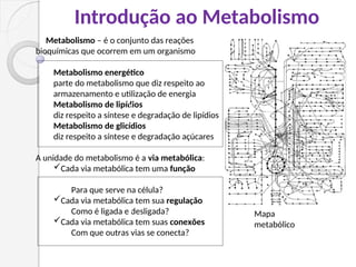Introdução ao Metabolismo
Metabolismo – é o conjunto das reações
bioquímicas que ocorrem em um organismo
Metabolismo energético
parte do metabolismo que diz respeito ao
armazenamento e utilização de energia
Metabolismo de lipídios
diz respeito a síntese e degradação de lipídios
Metabolismo de glicídios
diz respeito a síntese e degradação açúcares
A unidade do metabolismo é a via metabólica:
Cada via metabólica tem uma função
Para que serve na célula?
Cada via metabólica tem sua regulação
Como é ligada e desligada?
Cada via metabólica tem suas conexões
Com que outras vias se conecta?
Mapa
metabólico
v
v
 