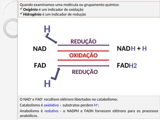 NAD
FAD
REDUÇÃO
FAD
NAD
OXIDAÇÃO
H
REDUÇÃO
H
Quando examinamos uma molécula ou grupamento químico:
Oxigênio é um indicador de oxidação
Hidrogênio é um indicador de redução
O NAD+
e FAD+
recolhem elétrons libertados no catabolismo;
Catabolismo é oxidativo – substratos perdem H+
;
Anabolismo é redutivo - o NADPH e FADH fornecem elétrons para os processos
anabólicos.
H + H
H2
 