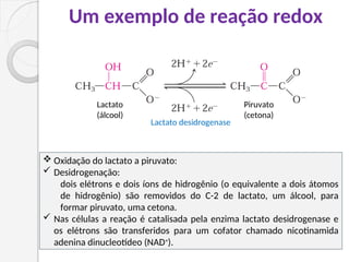 Um exemplo de reação redox
Lactato
(álcool)
Piruvato
(cetona)
Lactato desidrogenase
 Oxidação do lactato a piruvato:
 Desidrogenação:
dois elétrons e dois íons de hidrogênio (o equivalente a dois átomos
de hidrogênio) são removidos do C-2 de lactato, um álcool, para
formar piruvato, uma cetona.
 Nas células a reação é catalisada pela enzima lactato desidrogenase e
os elétrons são transferidos para um cofator chamado nicotinamida
adenina dinucleotídeo (NAD+
).
 