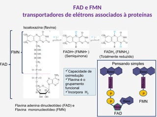 FAD e FMN
transportadores de elétrons associados à proteínas
Isoaloxazina (flavina)
FADH• (FMNH• )
(Semiquinona)
FADH2 (FMNH2)
(Totalmente reduzido)
FMN
FAD
Flavina adenina dinucleotídeo (FAD) e
Flavina mononucleotídeo (FMN)
P
P
Ribose
Ribose
Base
Base
P
Ribose
Base
Pensando simples
FAD
FMN
Capacidade de
oxirredução
Flavina é o
grupamento
funcional
Incorpora H2
 