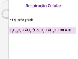 Respiração Celular
 Equação geral:
C6
H12
O6
+ 6O2
 6CO2
+ 6H2
O + 38 ATP
 