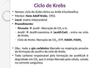 Ciclo de Krebs
 Nomes: ciclo do ácido cítrico ou ácido tricarboxílico.
 Mentor: Hans Adolf Krebs, 1953.
 Local: matriz mitocondrial
 Procedimento:
◦ Piruvato  acetil : liberação de CO2 e H.
◦ Acetil  Acetil-coenzima A (acetil-CoA) : entra no ciclo
de Krebs.
◦ Ciclo de Krebs: liberação de CO2, ATP, NADH, FADH2
 Obs.: todo o gás carbônico liberado na respiração provém
da formação do acetil e do ciclo de Krebs.
 Todo carbono responsável pela formação do acetilCoA é
degradado em CO2
que é então liberado pela célula, caindo
na corrente sanguínea.
 