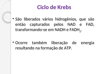 Ciclo de Krebs
 São liberados vários hidrogênios, que são
então capturados pelos NAD e FAD,
transformando-se em NADH e FADH2
.
 Ocorre também liberação de energia
resultando na formação de ATP.
 