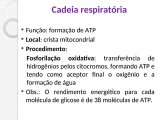 Cadeia respiratória
 Função: formação de ATP
 Local: crista mitocondrial
 Procedimento:
Fosforilação oxidativa: transferência de
hidrogênios pelos citocromos, formando ATP e
tendo como aceptor final o oxigênio e a
formação de água
 Obs.: O rendimento energético para cada
molécula de glicose é de 38 moléculas de ATP.
 