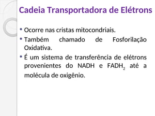 Cadeia Transportadora de Elétrons
 Ocorre nas cristas mitocondriais.
 Também chamado de Fosforilação
Oxidativa.
 É um sistema de transferência de elétrons
provenientes do NADH e FADH2
até a
molécula de oxigênio.
 