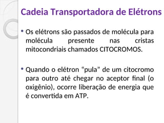 Cadeia Transportadora de Elétrons
 Os elétrons são passados de molécula para
molécula presente nas cristas
mitocondriais chamados CITOCROMOS.
 Quando o elétron “pula” de um citocromo
para outro até chegar no aceptor final (o
oxigênio), ocorre liberação de energia que
é convertida em ATP.
 